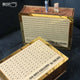 All in 1 – Reusable Wooden Money Saving Box (Openable)